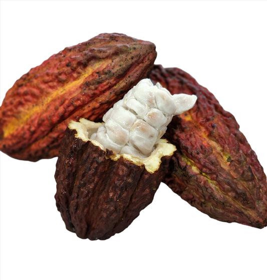 Cacao Pods