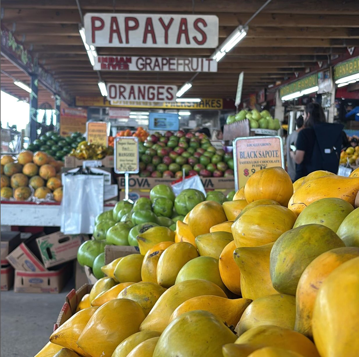 What's In Season