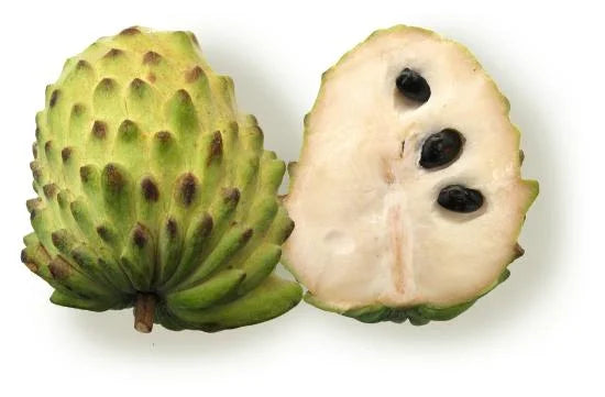 Atemoya