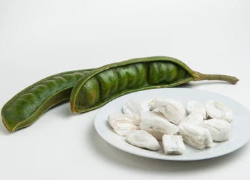 Guamá (Ice Cream Bean)