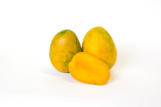 Glenn Mango