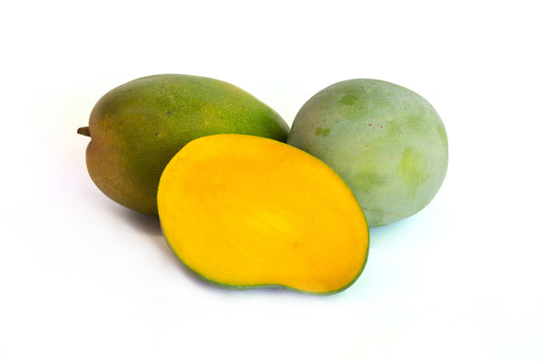 Keitt Mango